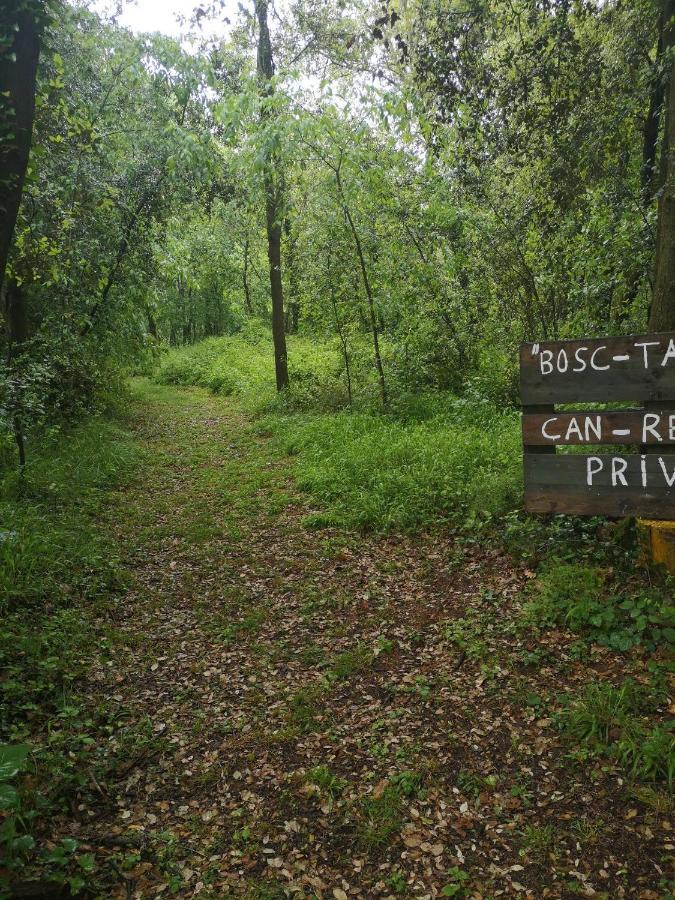 Can Resiu Serinya Exterior foto
